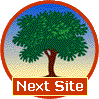 nextsite.gif (4696 Byte)